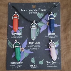 Hot Topic's Thorn &  Fable Interchangeable Charm Necklace Set
